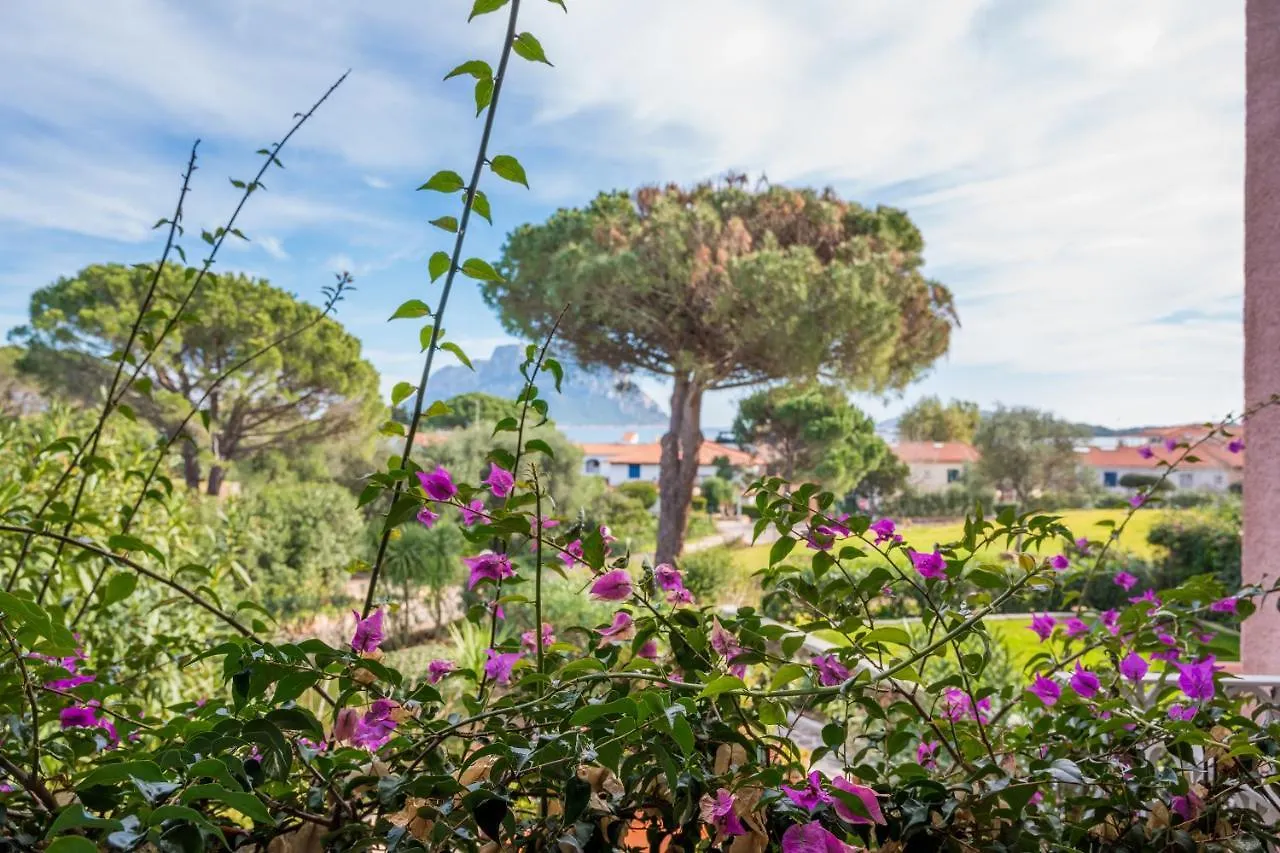 Piazzetta Casa Paola 200M From The Sea - Happy Rentals Porto San Paolo  Apartmán