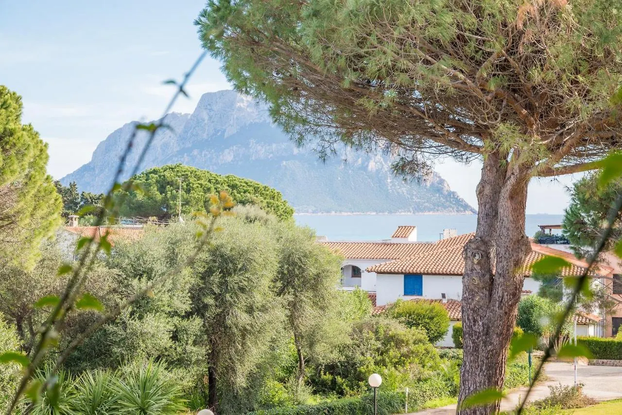 Apartmán Piazzetta Casa Paola 200M From The Sea - Happy Rentals Porto San Paolo